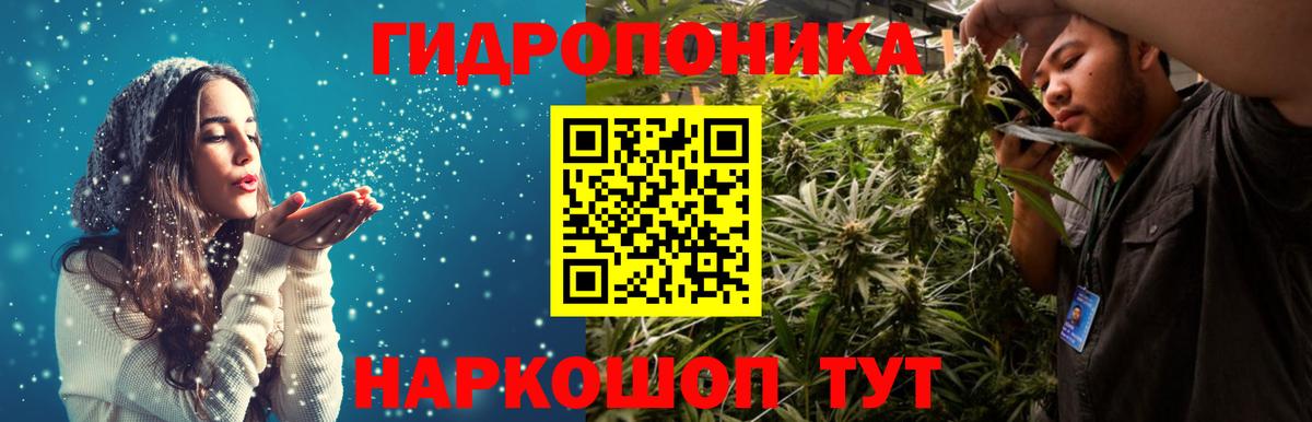 Киселёвск  Бошки марихуана OG Kush  Вход с VPN  МАРИХУАНА гибрид  Бошки Шишки Bruce Banner 
